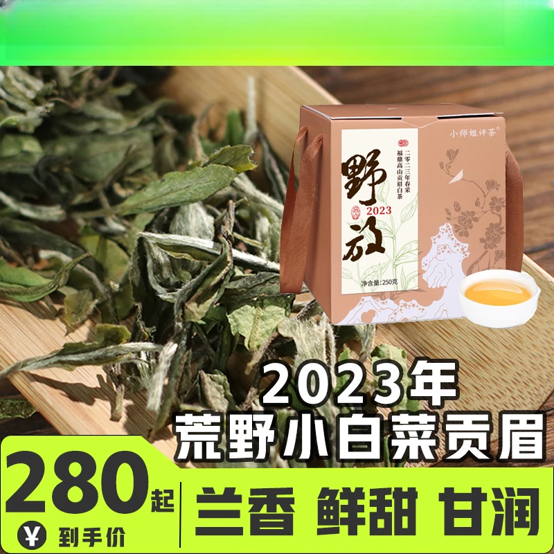 2023小白菜高山贡眉散茶野放福鼎白茶小师姐评茶