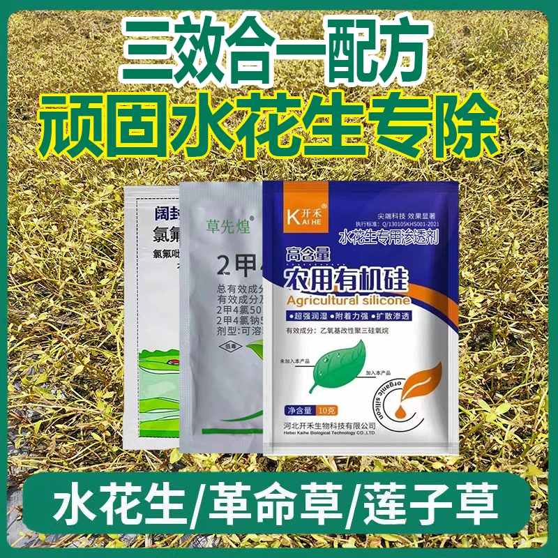 氯氟吡氧乙酸｜水花生空心莲专除斩根不返青｜抗性革命草克星