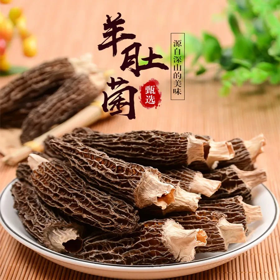 2025年 自产自销 林下种植羊肚菌 头茬热销3cm-5cm宝宝菇