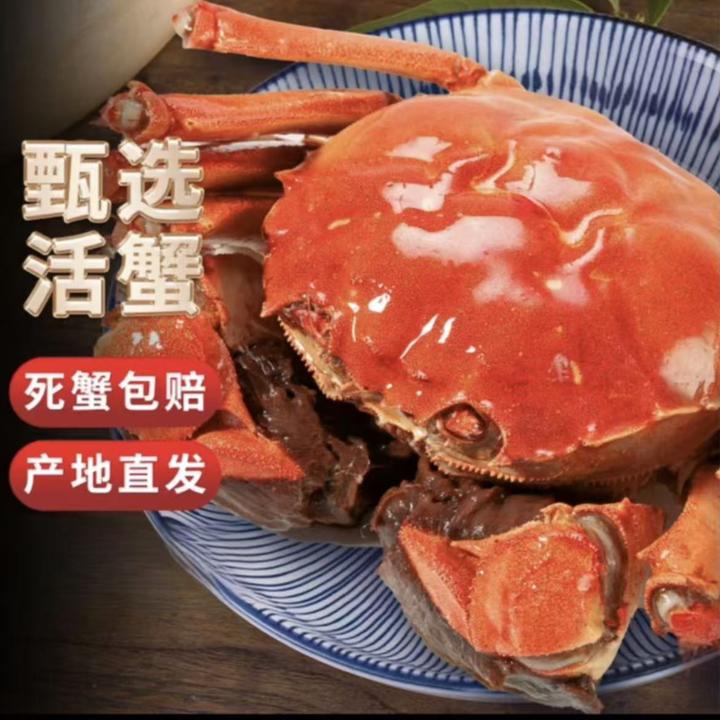 【活蟹现发】鲜活全母大闸蟹3.3-3.6两母蟹10只