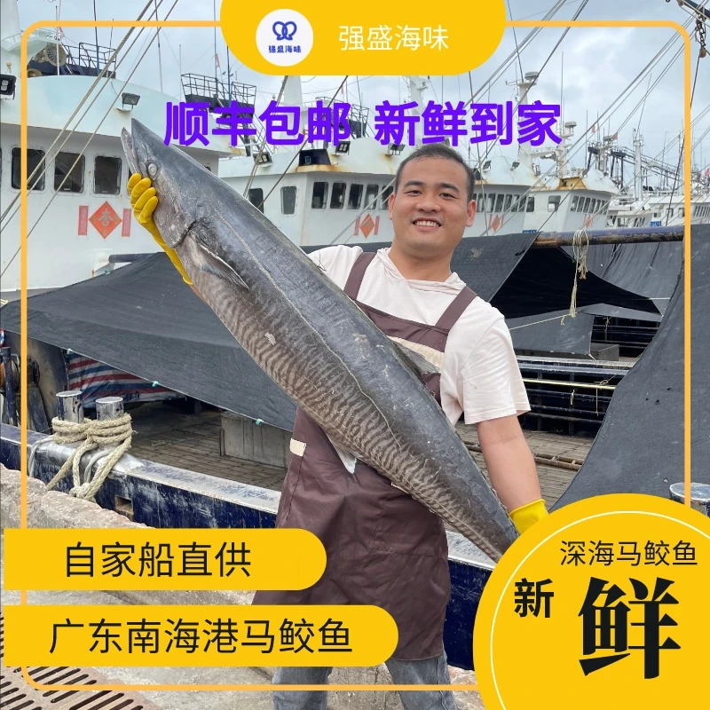 13斤海鲜广东南海港马鲛鱼现称现卖现切海鲜直播当天发货顺丰包邮