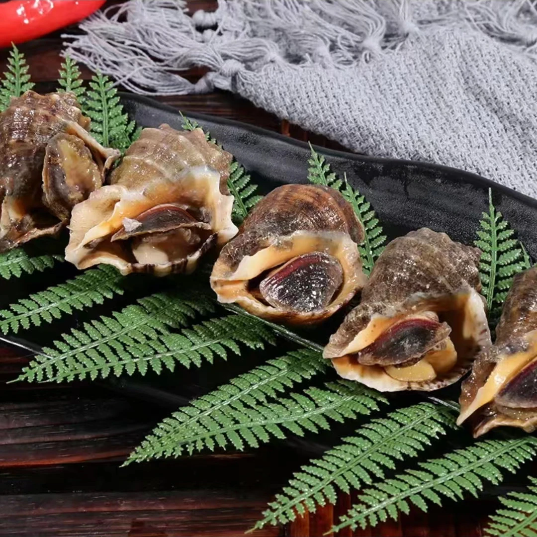 连云港地笼海螺  4斤包活