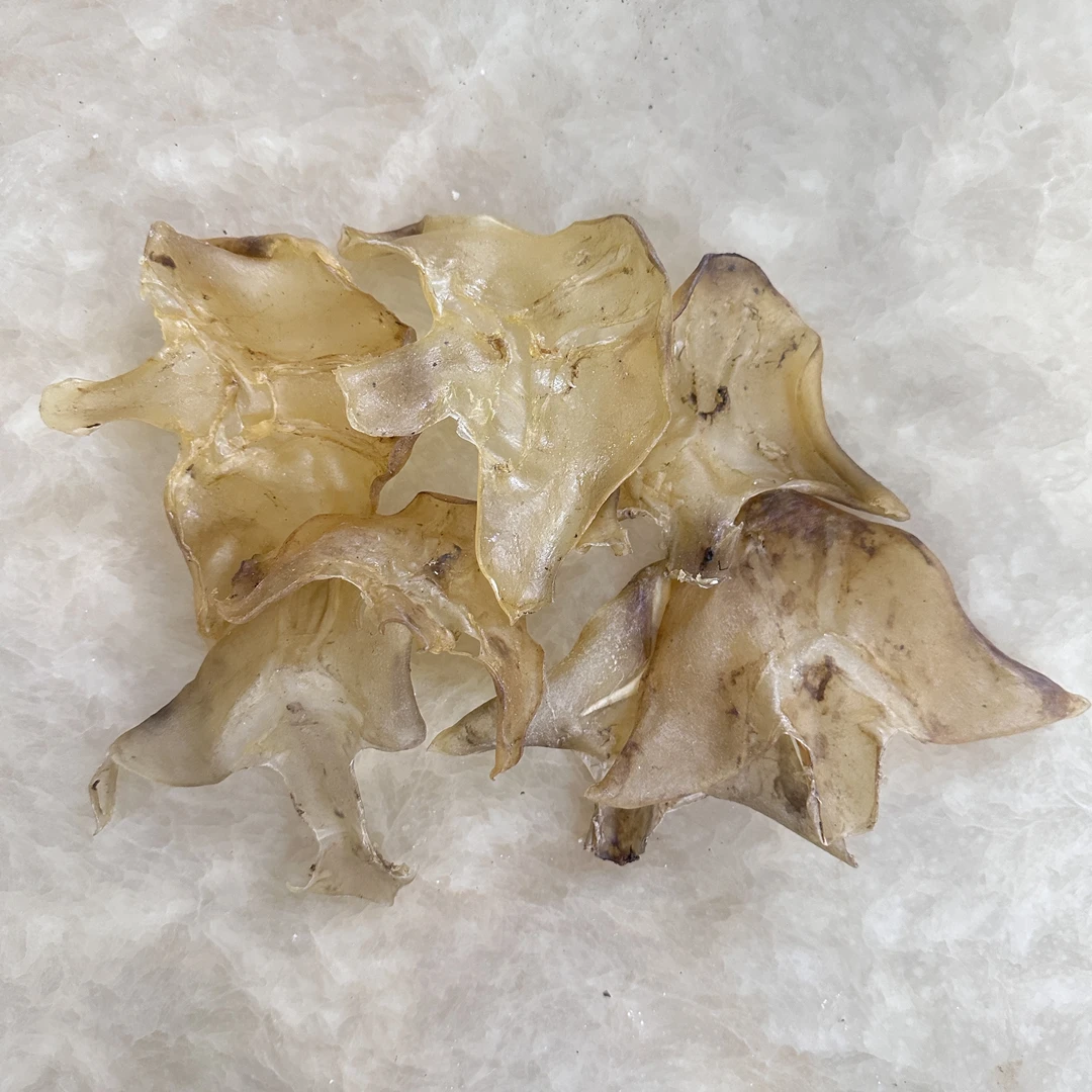 蔡堂膳言[50头水鱼裙底] 熊妈精选48~50头滋补鱼胶干货