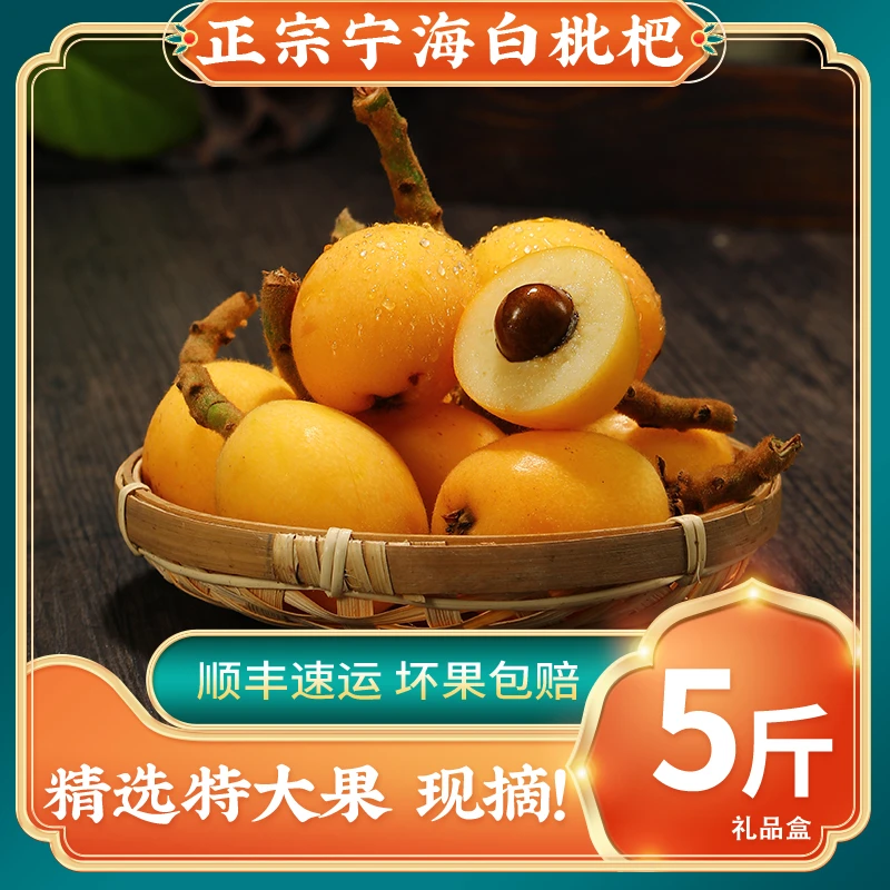 【特大果】正宗宁海白枇杷白沙枇杷新鲜水果白玉琵琶孕妇水果5斤装