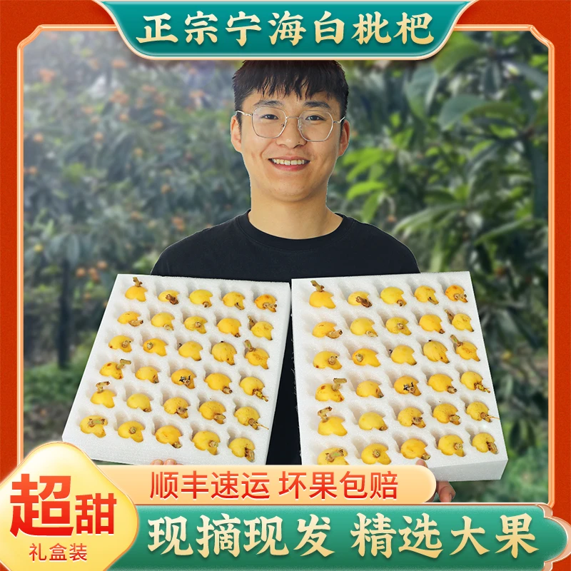 正宗宁海白沙枇杷白沙枇杷新鲜当季白玉琵琶孕妇水果现摘礼盒5斤