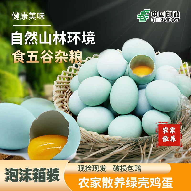 绿壳新鲜土鸡蛋丨广元特产散养土鸡蛋当日农家营养农场五谷虫草蛋