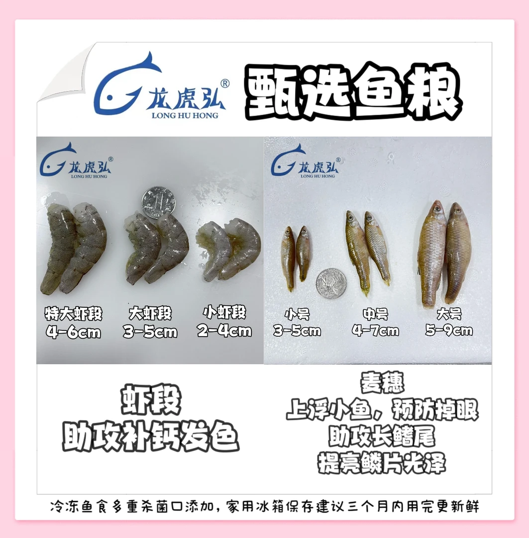虾段+小鱼营养搭配龙鱼饲料虾段河虾泥鳅山根麦穗养鱼必需品鱼缸
