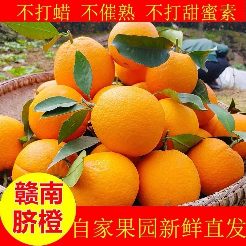 正宗江西赣南脐橙赣州带箱5/10斤装当季橙子水果不带叶发货