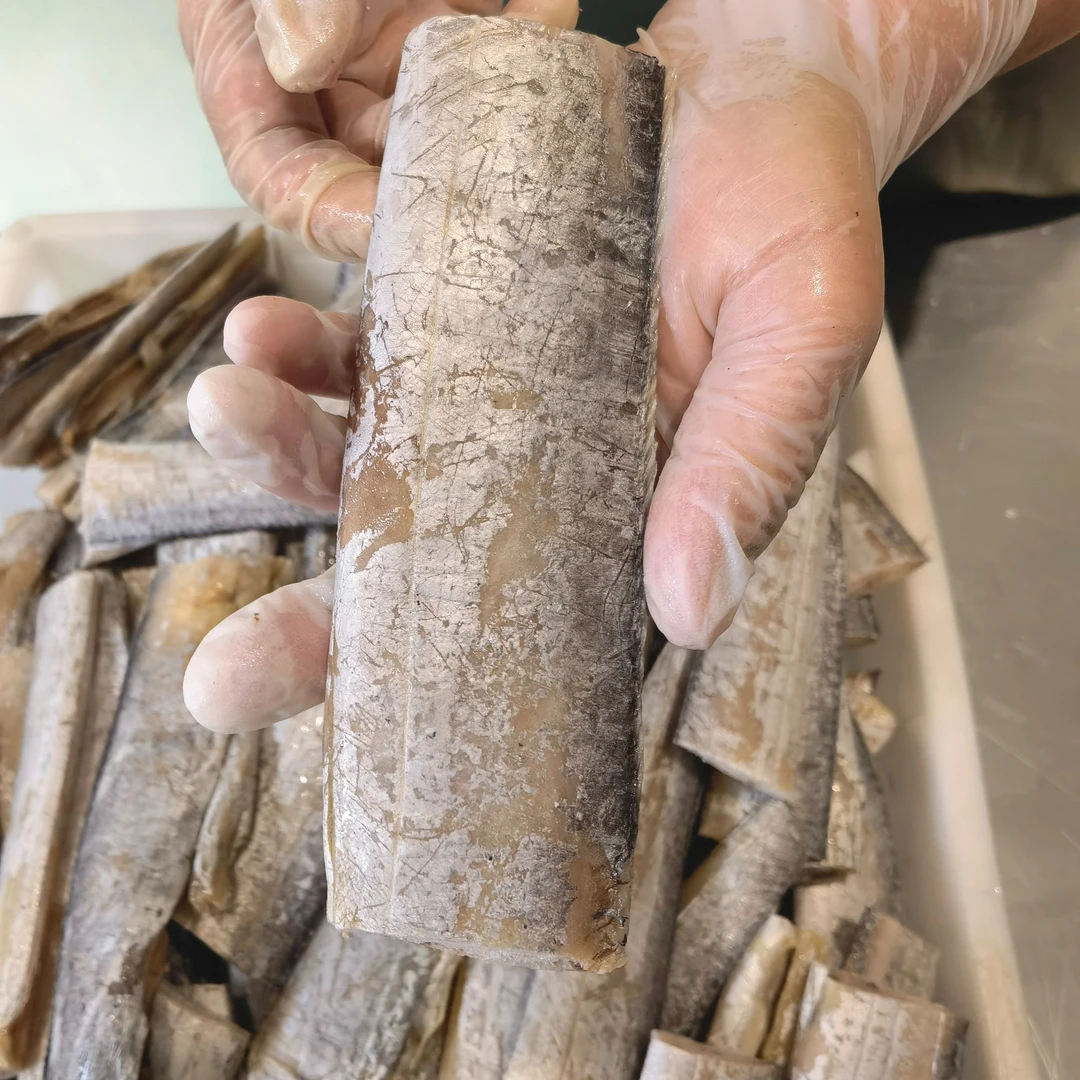 带鱼干咸带鱼东海带鱼生鲜海鲜顺丰快递