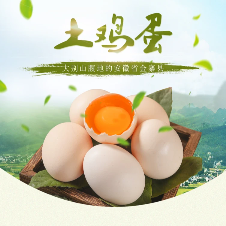 大别山林间散养谷物新鲜鸡蛋喂养健康营养土鸡蛋不是大个洋鸡蛋
