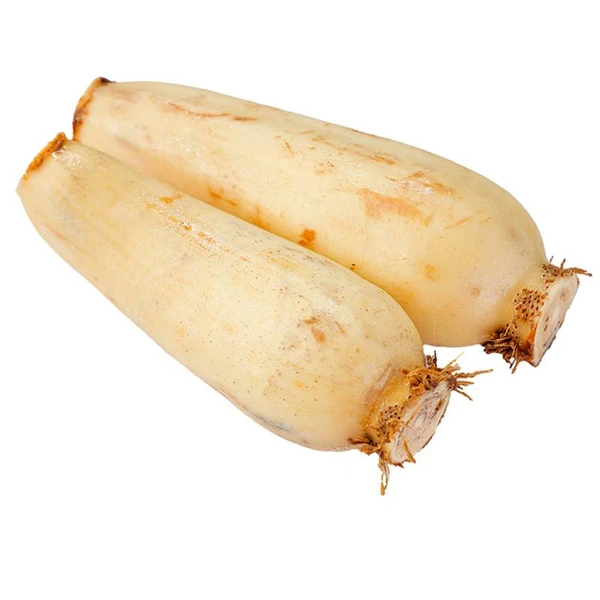 莲藕 400g藕同城配送