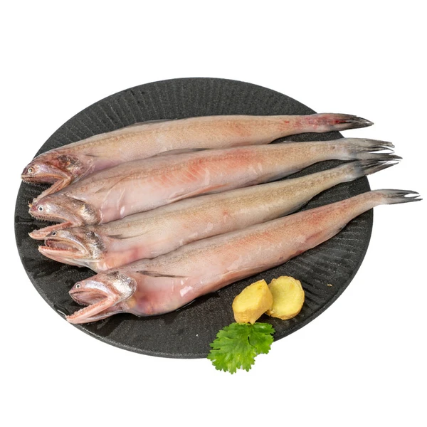 【开海季】海捕龙头鱼 500g