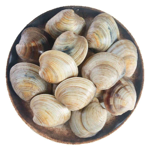 鲜活文蛤（散称） 400g