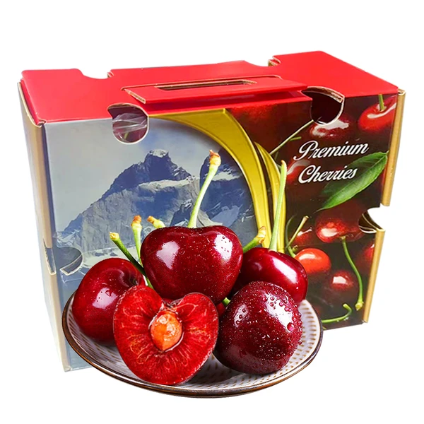 【预售】智利车厘子JJ 2.5kg