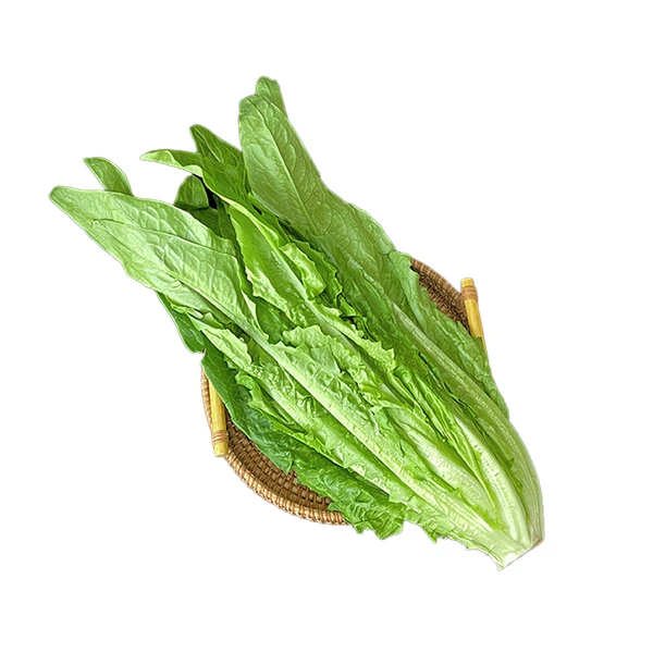 高山油麦菜 300g