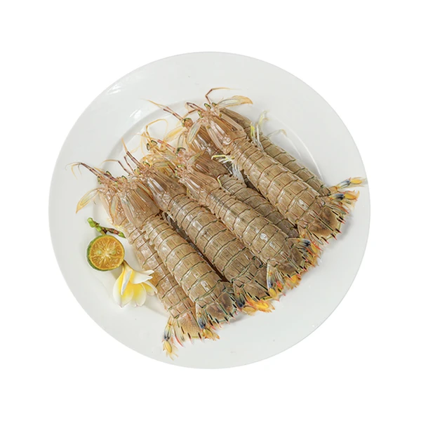 鲜活皮皮虾/虾菇 250g（15只以内）