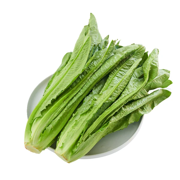 油麦菜 400g
