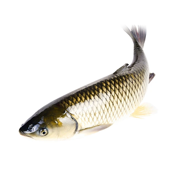 鲜活草鱼（大） 杀前重量：1.75-2kg/只