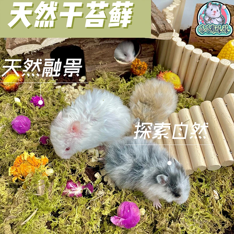 泡泡有球球 生态系苔藓垫料造景椰土躲避仓鼠乌龟金丝熊仓鼠侏儒