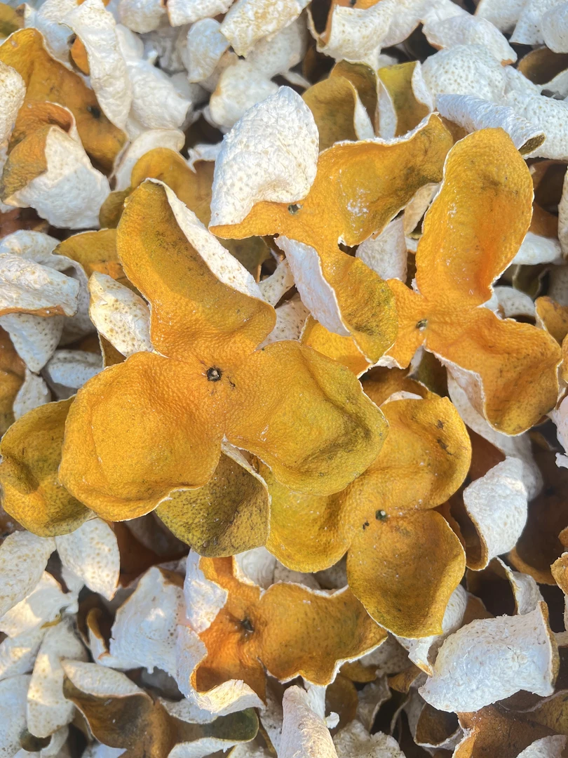 【君君推荐】正宗梅江2024年生晒大红皮(精品限售50斤，售罄下架！)