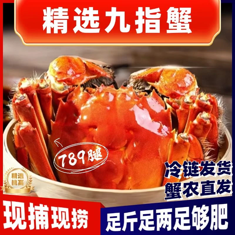 【活蟹母蟹】10只4.2两起精选大九指母蟹 顺丰京东冷链包邮发货