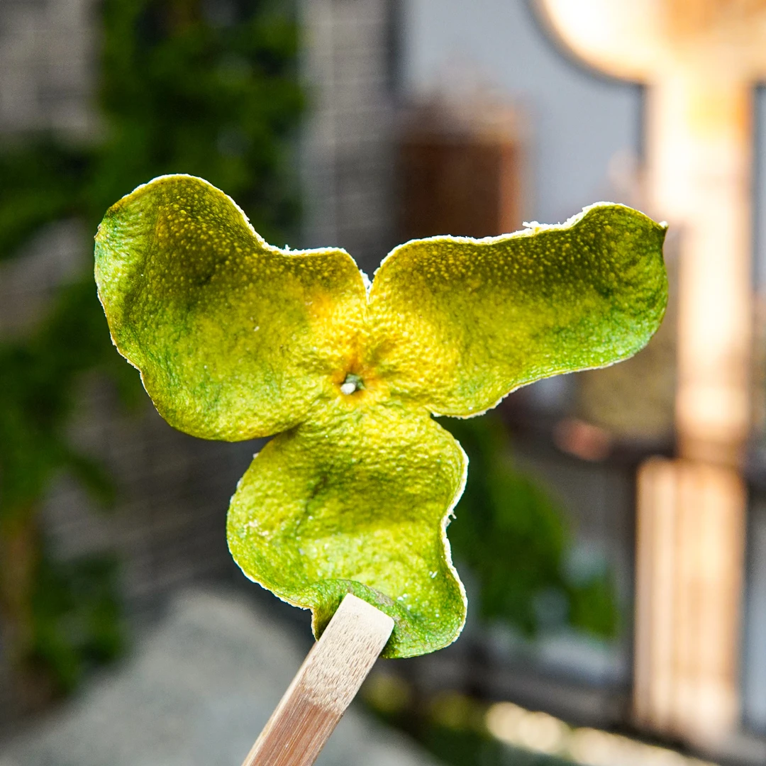 【原枝 花青皮】2024年 东甲产区 干仓存储新会陈皮