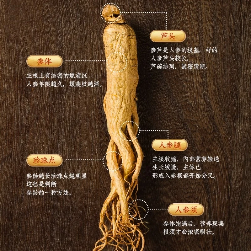 【长白山人参干货】精选东北特产泡酒专用参白参八年林下参泡酒煲汤
