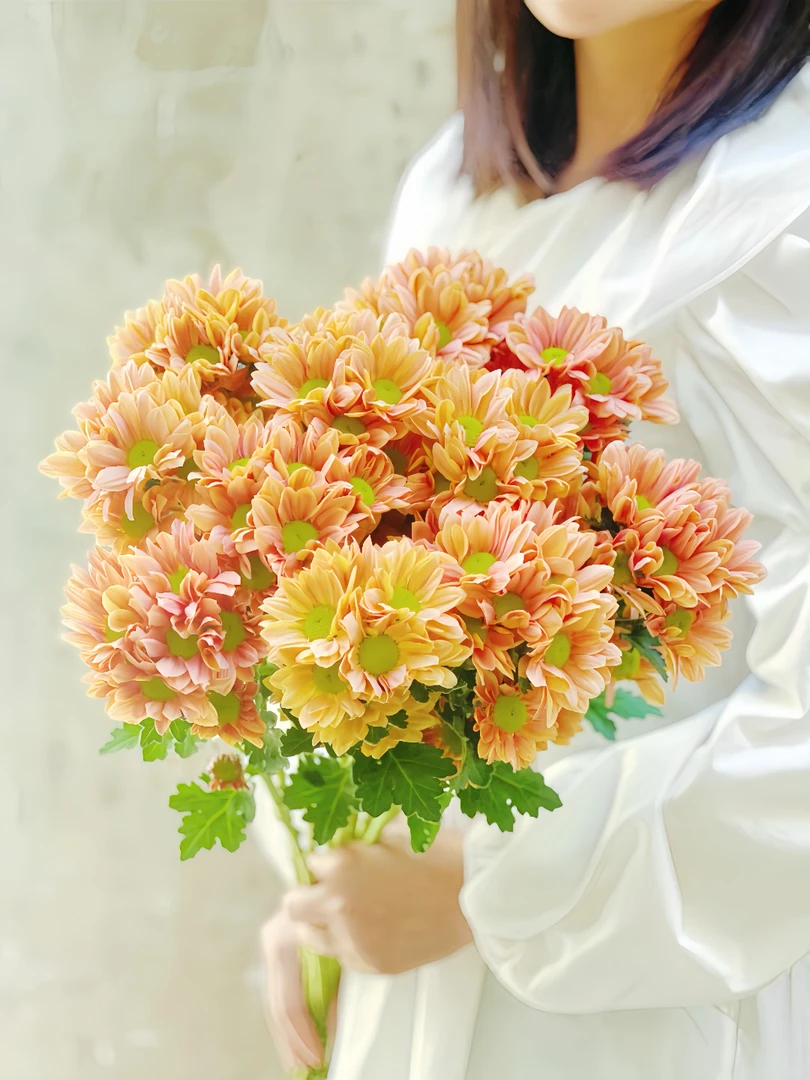 (全店任意5单一个邮费)小雏菊鲜花云南昆明直发顺丰冷链修剪养护