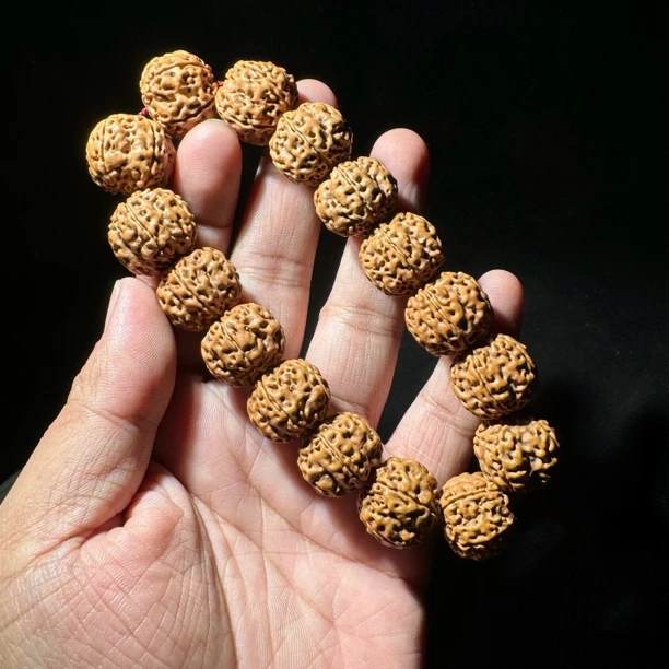 【M16霹雳虾】小金刚大尺寸 粗筋龙满肉暴油 一步到位手串菩提
