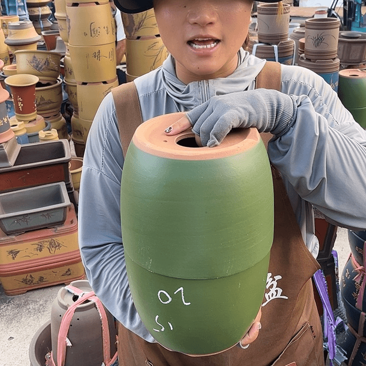 紫砂20CM（含）-50CM（不含）