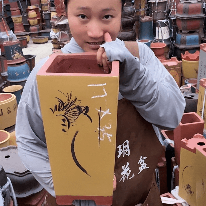 紫砂20CM（含）-50CM（不含）