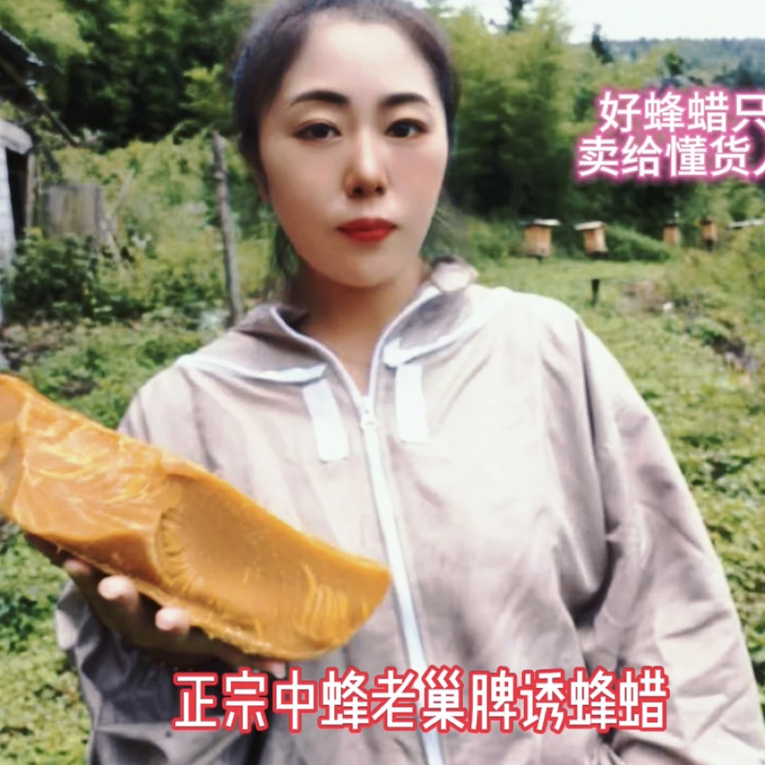 正宗中蜂老巢脾，户外诱蜂蜡