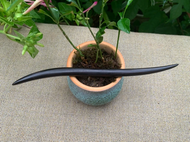 清婉21厘米紫光檀发簪盘发发型