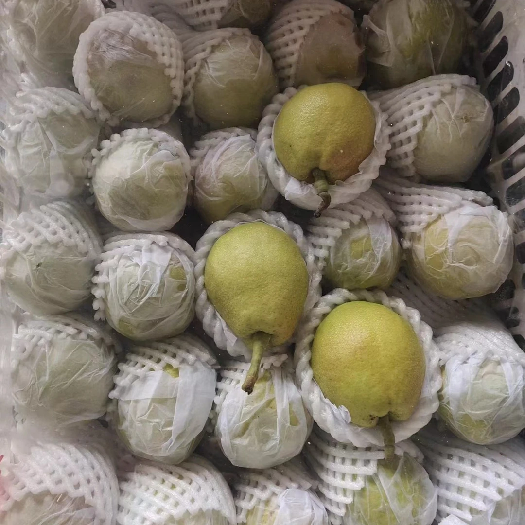 正宗 新疆库尔勒香梨