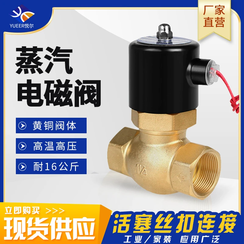 悦尔22024v先导活塞式高压阀丝扣家用阀高温电磁阀工业电磁蒸汽阀