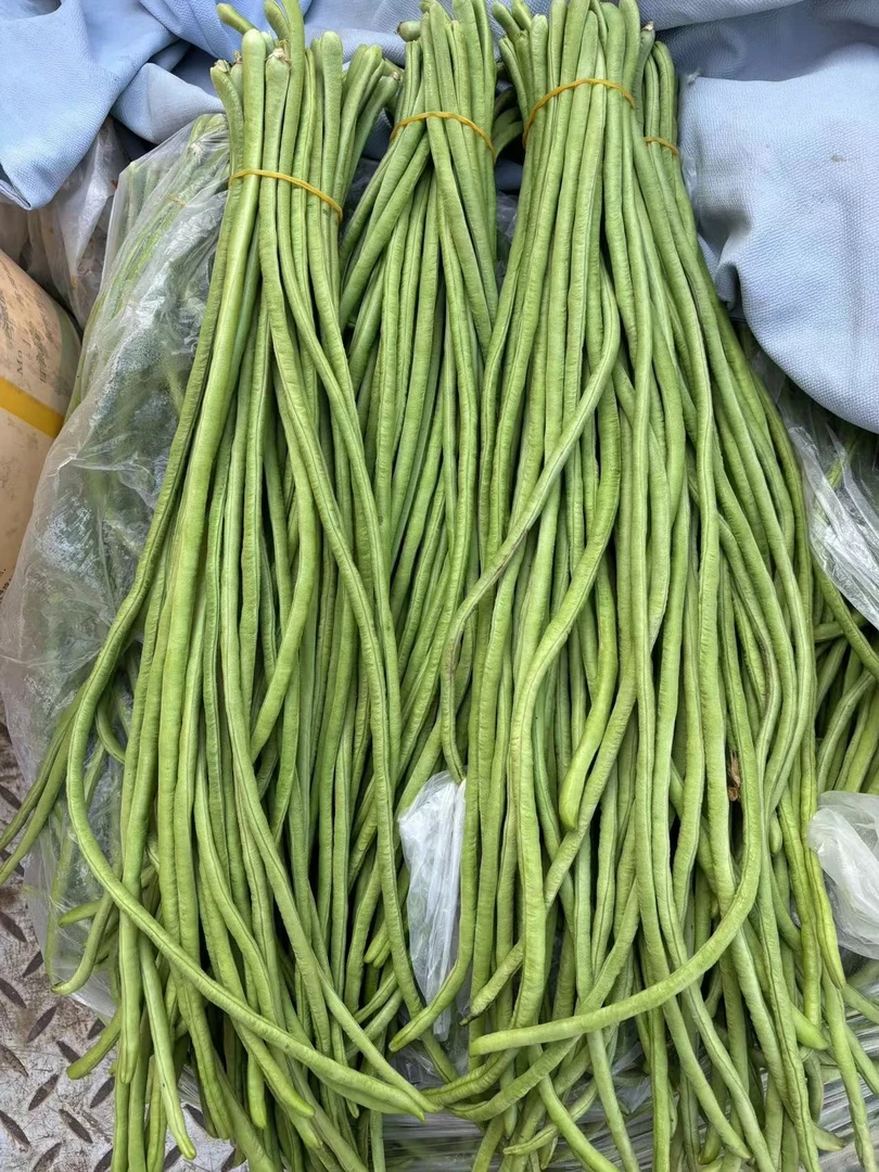 新鲜采摘头茬豆角4斤