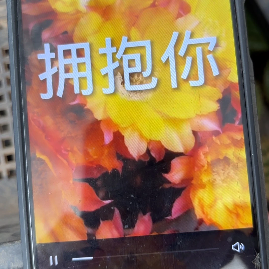 拥抱你彩//侧牙歪20包邮5公分左右16