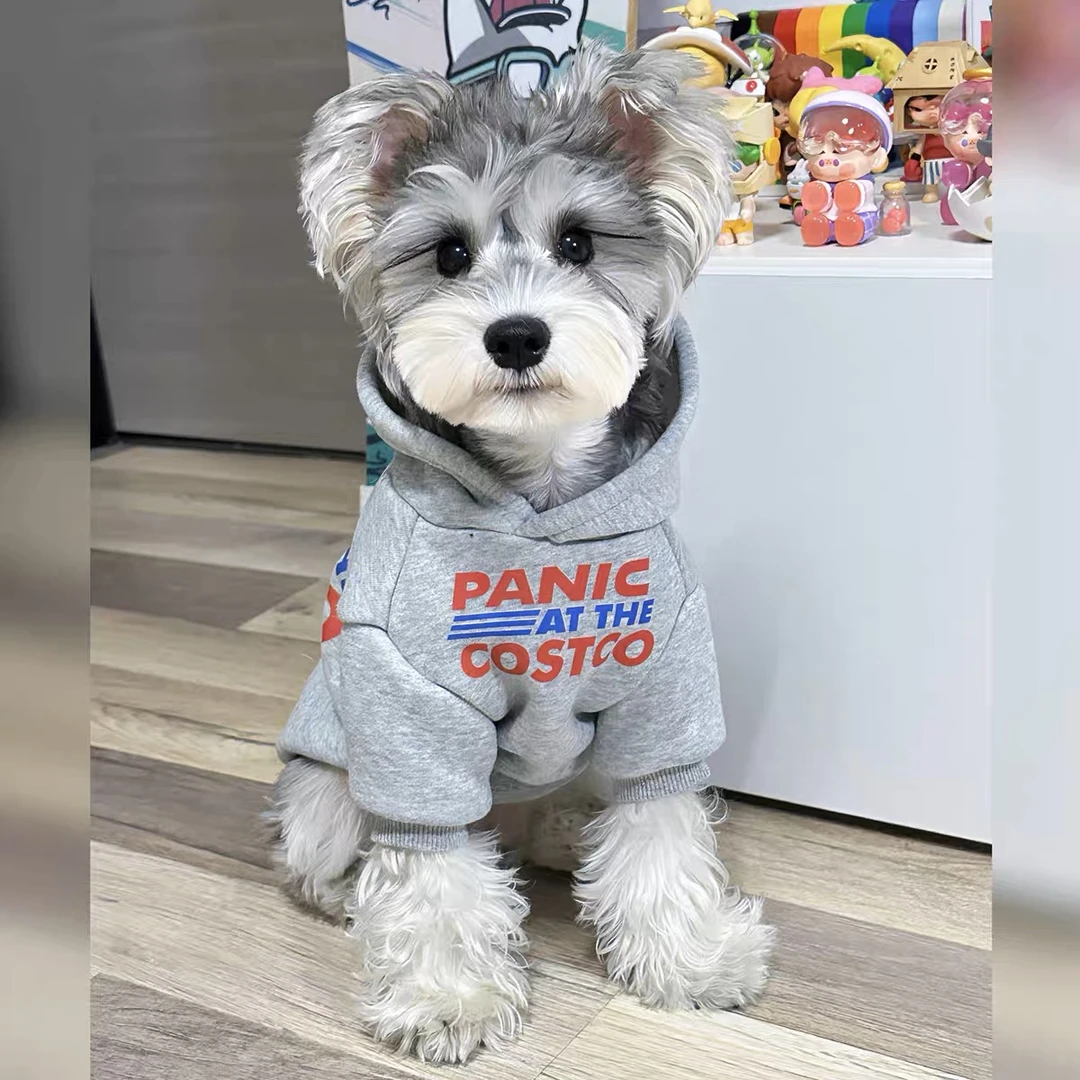 宠物猫狗衣服 春秋潮牌灰色红蓝英文防掉毛空调服 中小大型犬卫衣