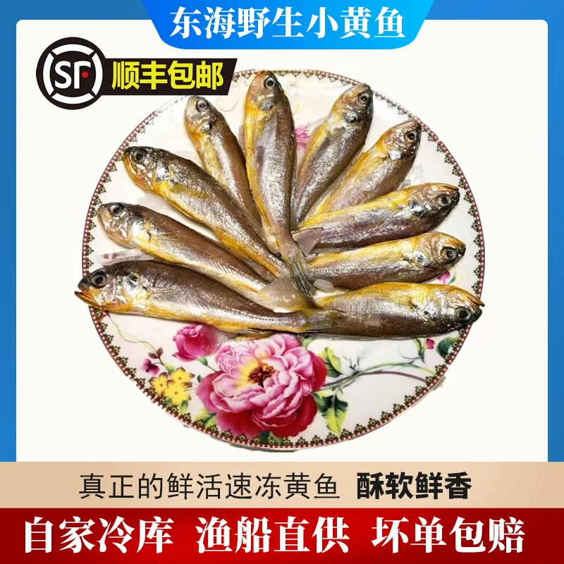 【小江推荐】野生黄花鱼 4斤 大小混装 当天鲜货 冷冻发货 现拍现称