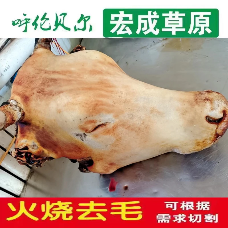 内蒙古新鲜整只生牛头肉带骨火烧去毛生黄牛头带舌头牛头30斤包邮