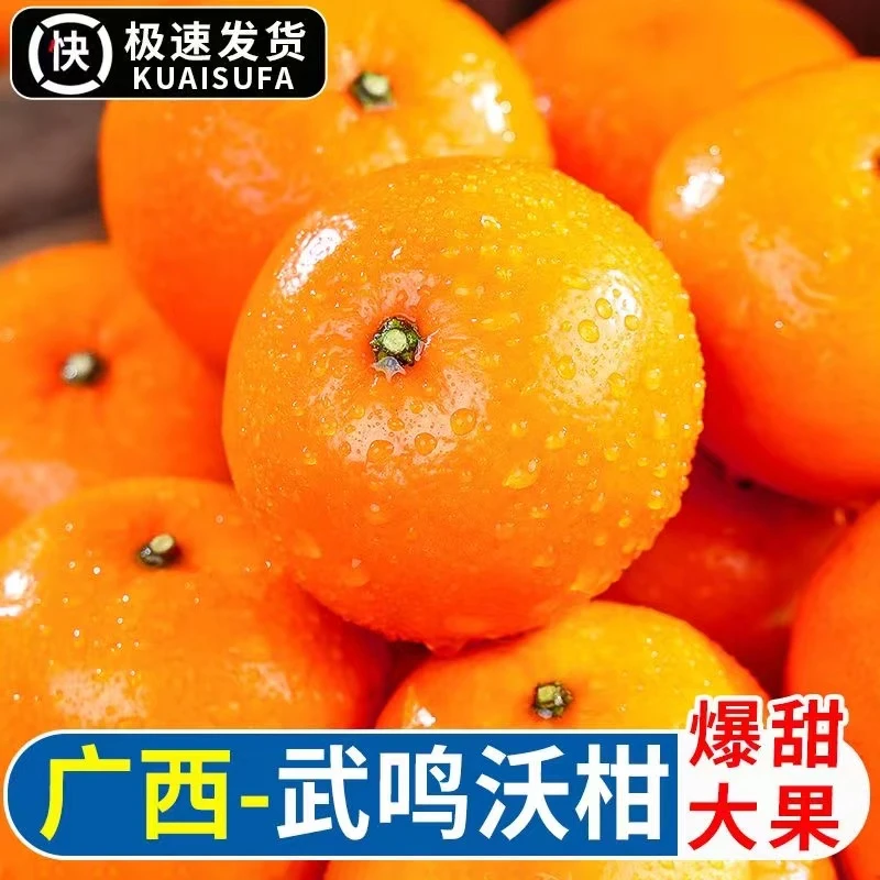 广西武鸣沃柑爆汁柑橘皮薄香甜新鲜当季水果