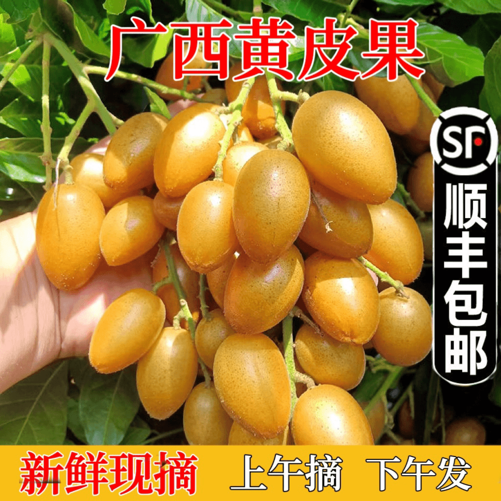 【顺丰包邮】新鲜鸡心黄皮果酸甜可口当季水果广西正宗黄弹子果园发