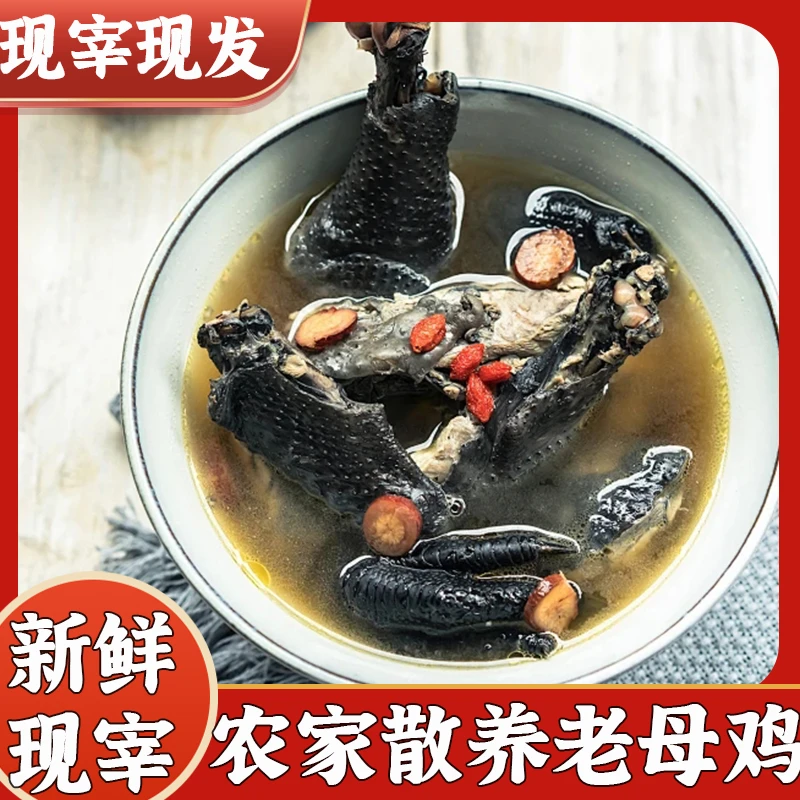 云南楚雄新鲜现杀现发精选农家散养放养土鸡母鸡1.5-4斤整只包邮