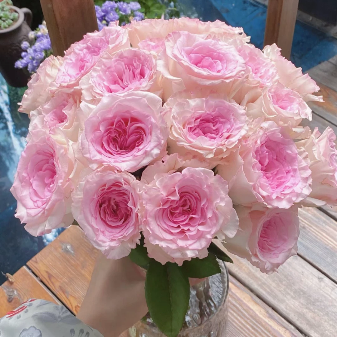 【洛神】云南基地直发玫瑰鲜切花花材家庭商务室内花艺插花 ZQ