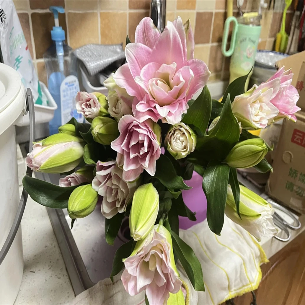 四季进口重瓣室内盆栽耐寒好养百合花卉香水百合种球浓香庭院观花