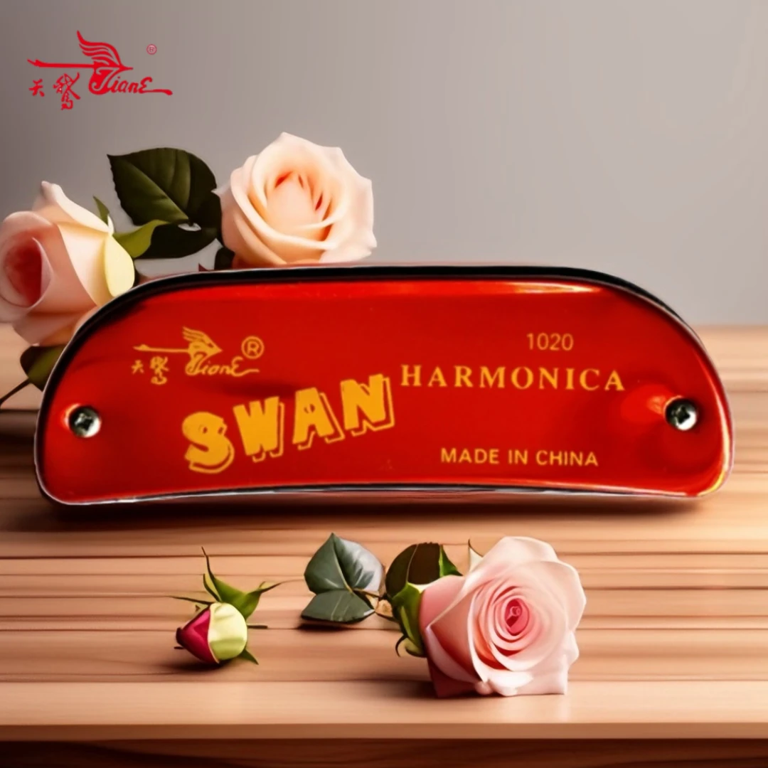 天鹅口琴演奏10孔布鲁斯口琴专业船型C调20音红色面板纯黄铜音板