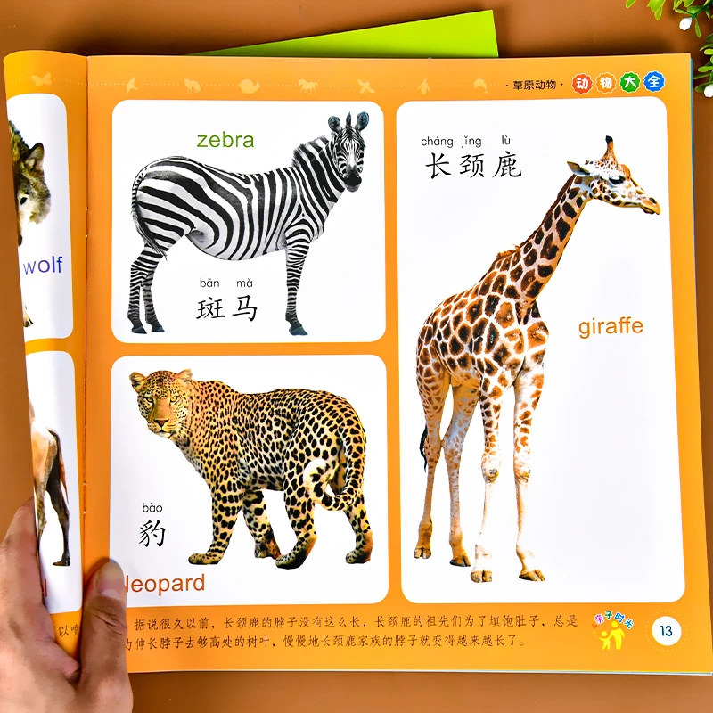 动物大全 宝宝看图识物认识动物早教绘本0-1-2-3岁幼儿认知启蒙书