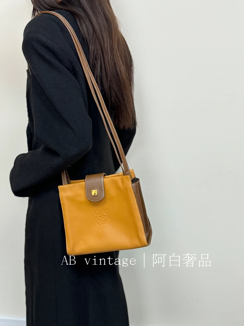 95新 LOEWE/罗意威 阿白奢品/罗意威 斜挎包