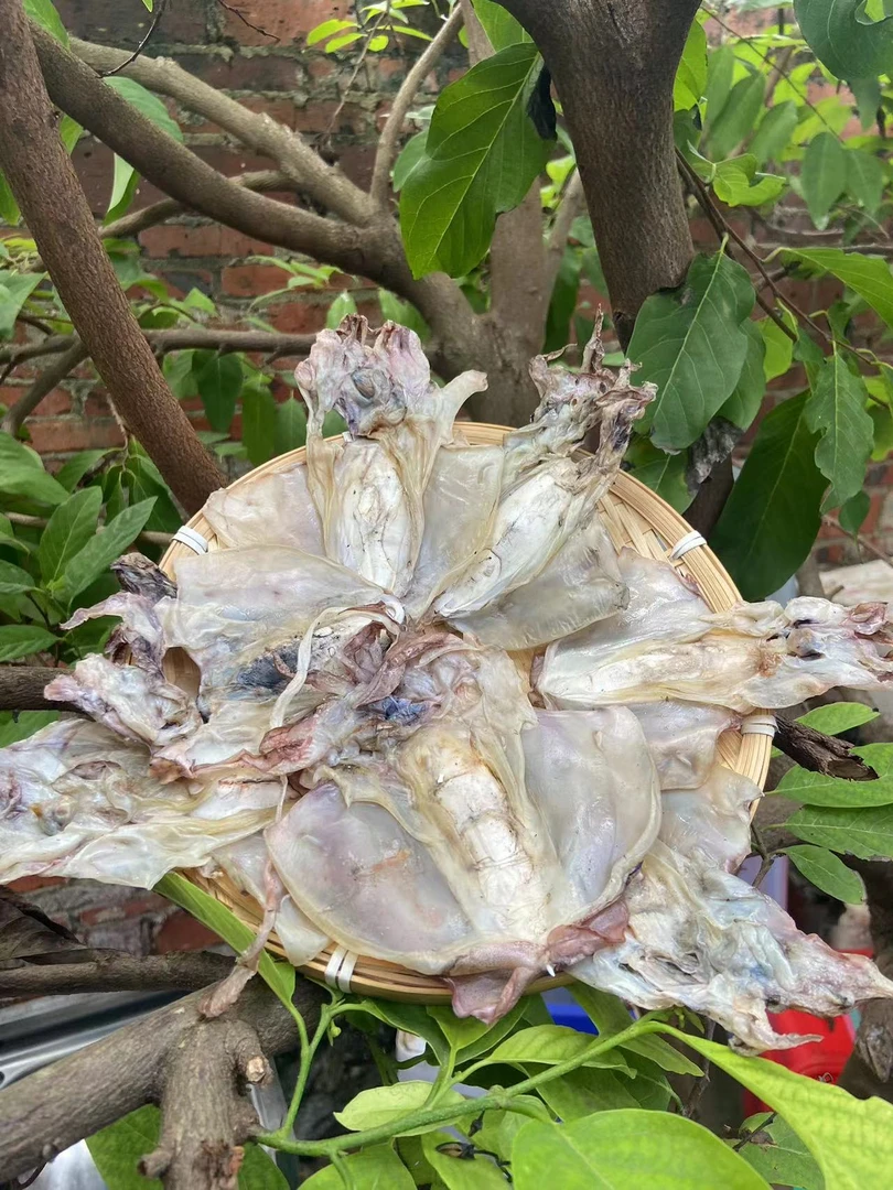 湛江外罗鱼港鱼民自晒墨鱼干