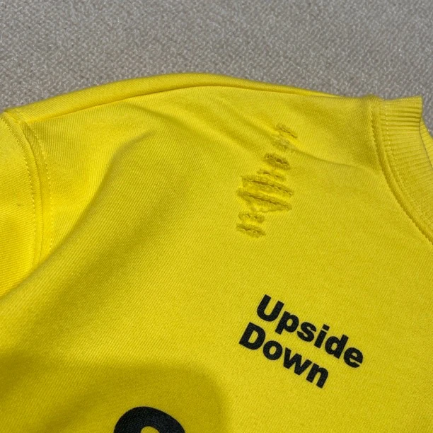 13266高端儿童春款时尚卫衣B6-2-3